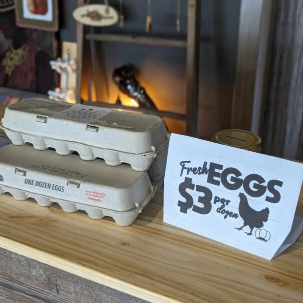 Farm Fresh Eggs