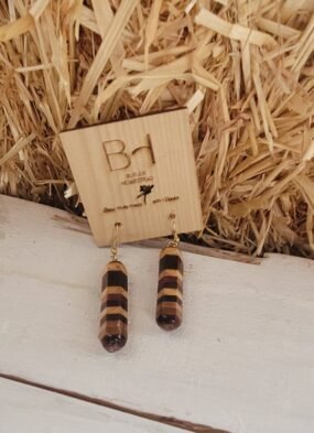 Gradient Wooden Earrings