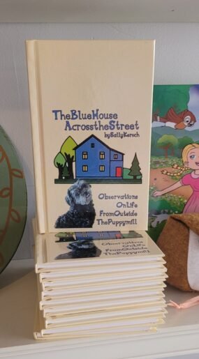 The Blue House Across the Street by Sally Kersch